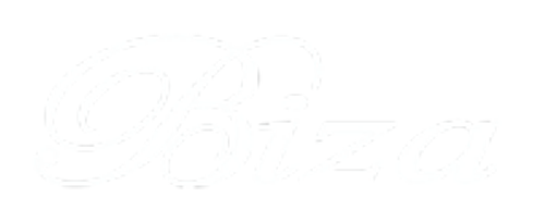 The word Biza is written in elegant, white, cursive script on a light gray background.