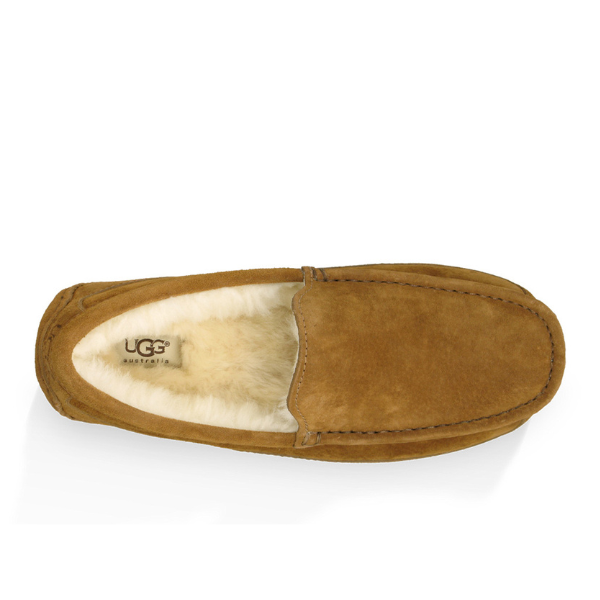 A single UGG Mens Ascot Slipper in Chestnut suede with cream sheepskin lining, designed for comfort, is shown from above against a white background.