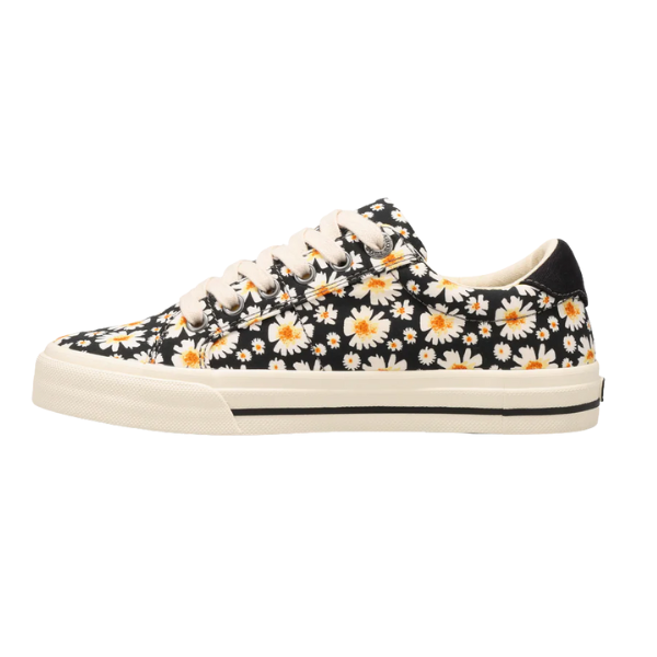 The TAOS Taos Women's Z Soul Daisy Black is a low-top canvas sneaker with a white sole, cream laces, and a black daisy floral pattern. It offers arch support for added comfort.