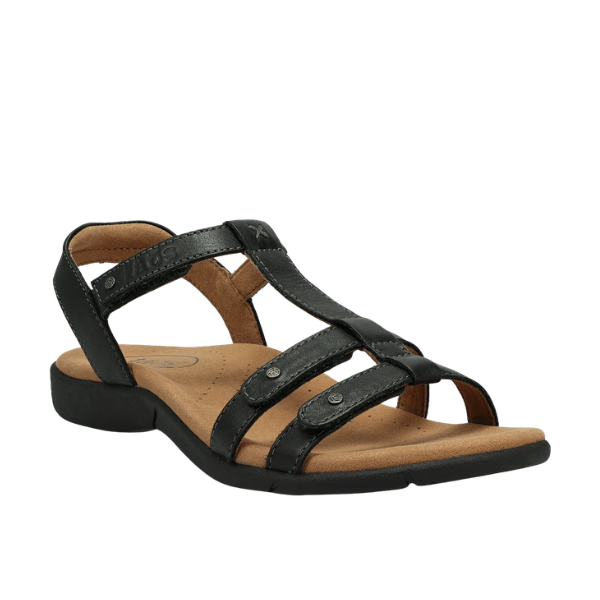 TAOS Taos Women's Trophy 2 Black Emboss sandals: low heel, cushioned tan footbed, 3 adjustable leather straps with accents.