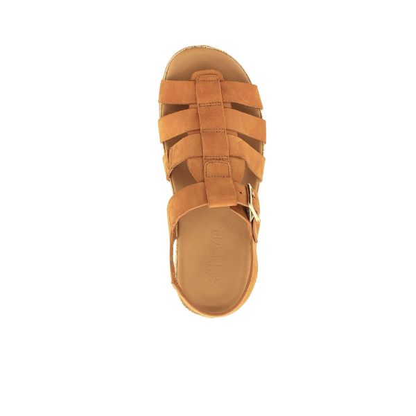 A top view of the Strive Women’s Cristal Tan Leather sandal by STRIVE shows multiple brown horizontal straps, a side buckle, and a memory foam footbed for comfort, displayed on a white background.