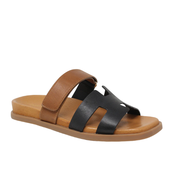 The DJANGO & JULIETTE Womens Nodette Black/Tan sandal features a Wide brown strap, black cut-out strap, and a tan sole—perfect for stylish summer wear.