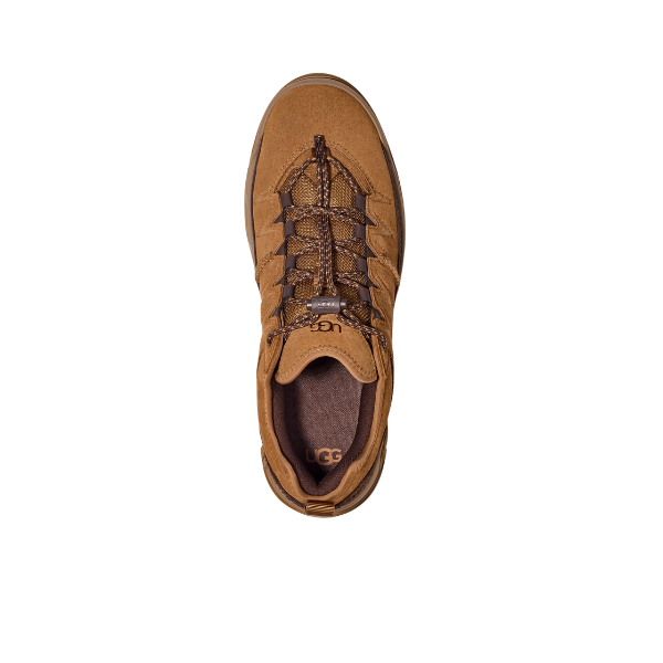 UGG Men's Captrail Low Chestnut