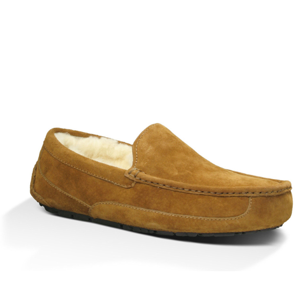 UGG Ascot Slipper Castaño para hombre