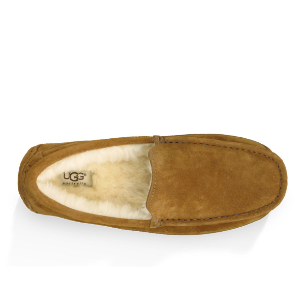 UGG Herren Ascot Slipper Kastanie