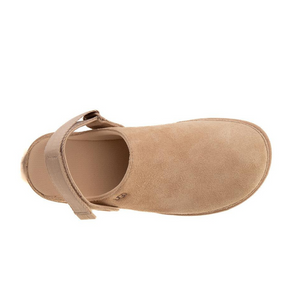 UGG Women's Goldenstar Clog Driftwood